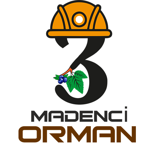 3 Madenci ORMAN